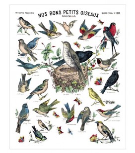 Affiche "Nos bons petits oiseaux"