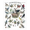 Affiche "Nos bons petits oiseaux"